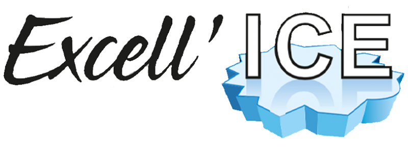 Logo Exellice