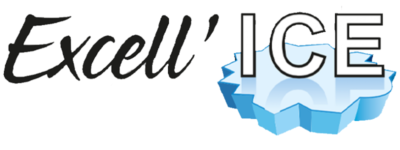 Logo Exellice Logo Exellice